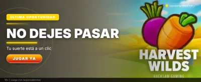 Descarga la App de Rayo777